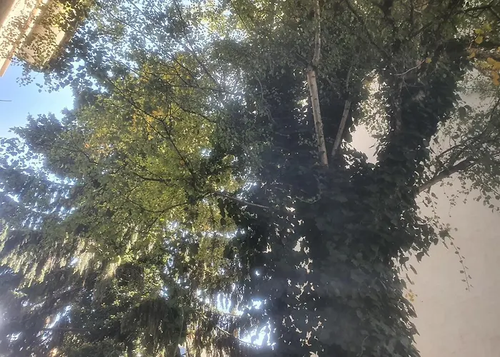 Homestay szállás Sonnegg Guest Inh M Bisegger *